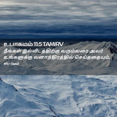 Picture 02 - உபாகமம் 11:5 TAMIRV - நீங்கள் - Bible Verse Picture