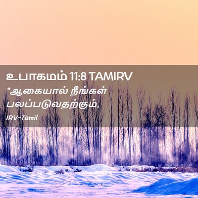 Picture 02 - உபாகமம் 11:8 TAMIRV - “ஆகையால் நீங்கள் - Bible Verse Picture