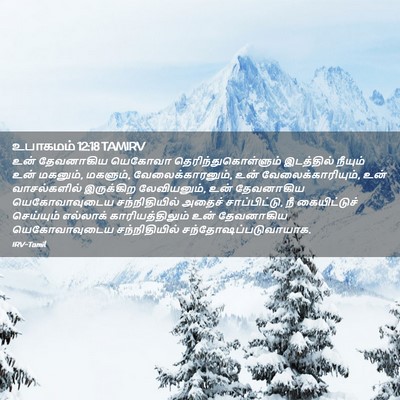 Picture 02 - உபாகமம் 12:18 TAMIRV - உன் தேவனாகிய - Bible Verse Picture