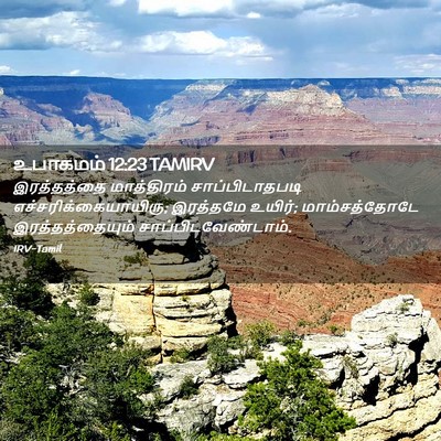 Picture 02 - உபாகமம் 12:23 TAMIRV - இரத்தத்தை - Bible Verse Picture