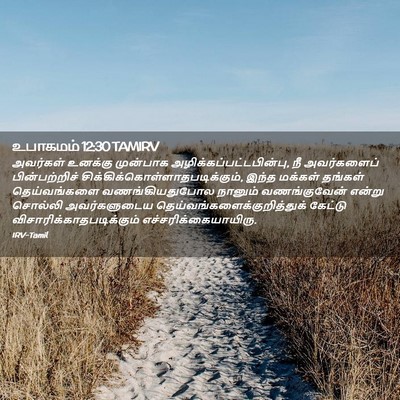 Picture 02 - உபாகமம் 12:30 TAMIRV - அவர்கள் உனக்கு - Bible Verse Picture