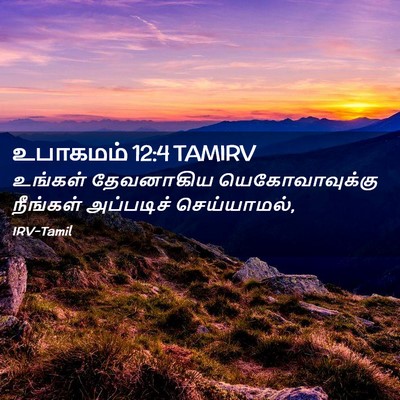 Picture 02 - உபாகமம் 12:4 TAMIRV - உங்கள் தேவனாகிய - Bible Verse Picture
