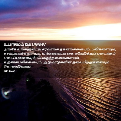 Picture 02 - உபாகமம் 12:6 TAMIRV - அங்கே உங்களுடைய - Bible Verse Picture