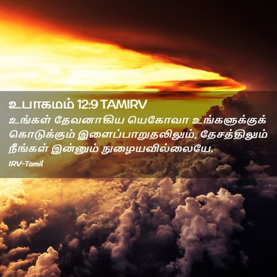Picture 02 - உபாகமம் 12:9 TAMIRV - உங்கள் தேவனாகிய - Bible Verse Picture