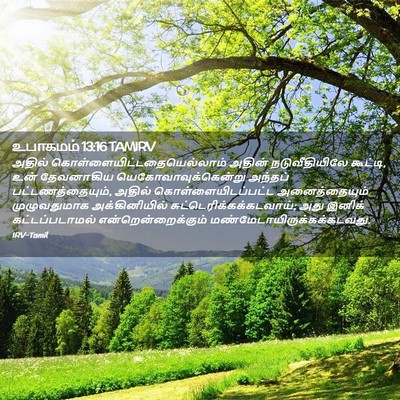 Picture 02 - உபாகமம் 13:16 TAMIRV - அதில் - Bible Verse Picture