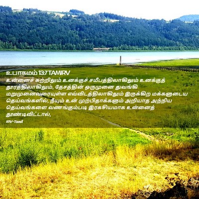 Picture 02 - உபாகமம் 13:7 TAMIRV - உன்னைச் - Bible Verse Picture