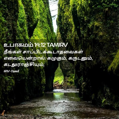 Picture 02 - உபாகமம் 14:12 TAMIRV - நீங்கள் - Bible Verse Picture