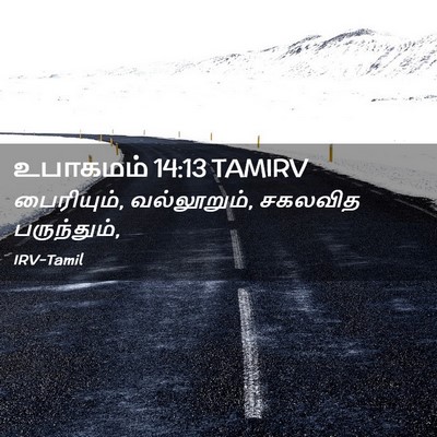 Picture 02 - உபாகமம் 14:13 TAMIRV - பைரியும், - Bible Verse Picture