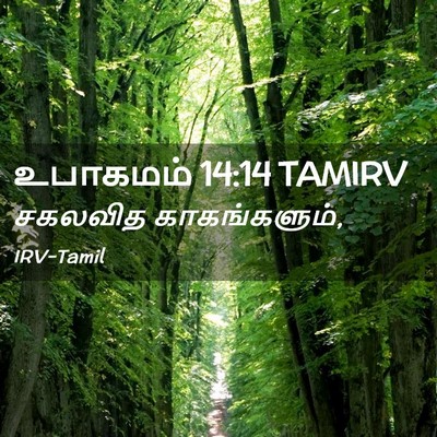 Picture 02 - உபாகமம் 14:14 TAMIRV - சகலவித - Bible Verse Picture