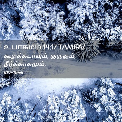 Picture 02 - உபாகமம் 14:17 TAMIRV - கூழக்கடாவும், - Bible Verse Picture
