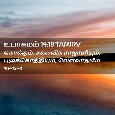 Picture 02 - உபாகமம் 14:18 TAMIRV - கொக்கும், சகலவித - Bible Verse Picture