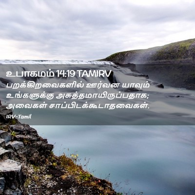 Picture 02 - உபாகமம் 14:19 TAMIRV - பறக்கிறவைகளில் - Bible Verse Picture
