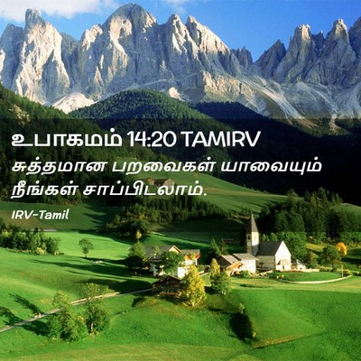 Picture 02 - உபாகமம் 14:20 TAMIRV - சுத்தமான பறவைகள் - Bible Verse Picture