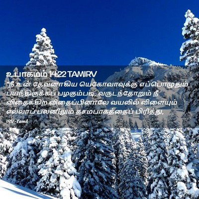 Picture 02 - உபாகமம் 14:22 TAMIRV - “நீ உன் தேவனாகிய - Bible Verse Picture