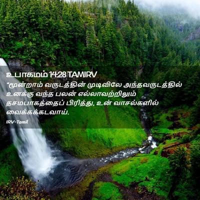 Picture 02 - உபாகமம் 14:28 TAMIRV - “மூன்றாம் - Bible Verse Picture