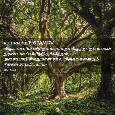 Picture 02 - உபாகமம் 14:6 TAMIRV - மிருகங்களில் - Bible Verse Picture
