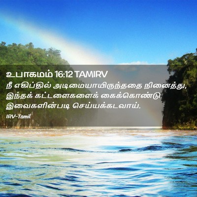 Picture 02 - உபாகமம் 16:12 TAMIRV - நீ எகிப்தில் - Bible Verse Picture