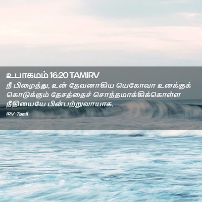 Picture 02 - உபாகமம் 16:20 TAMIRV - நீ பிழைத்து, உன் - Bible Verse Picture