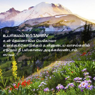 Picture 02 - உபாகமம் 16:5 TAMIRV - உன் தேவனாகிய - Bible Verse Picture