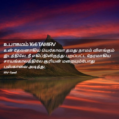 Picture 02 - உபாகமம் 16:6 TAMIRV - உன் தேவனாகிய - Bible Verse Picture