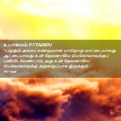 Picture 02 - உபாகமம் 17:1 TAMIRV - “பழுதும் - Bible Verse Picture