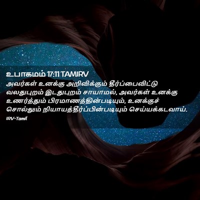 Picture 02 - உபாகமம் 17:11 TAMIRV - அவர்கள் உனக்கு - Bible Verse Picture