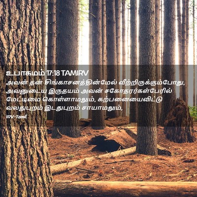 Picture 02 - உபாகமம் 17:18 TAMIRV - அவன் தன் - Bible Verse Picture
