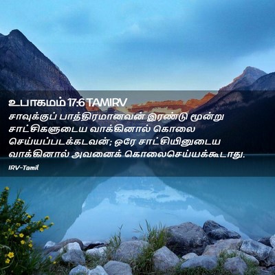 Picture 02 - உபாகமம் 17:6 TAMIRV - சாவுக்குப் - Bible Verse Picture