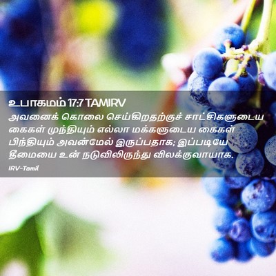 Picture 02 - உபாகமம் 17:7 TAMIRV - அவனைக் கொலை - Bible Verse Picture