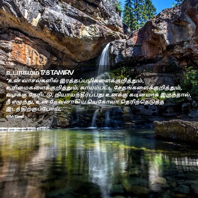 Picture 02 - உபாகமம் 17:8 TAMIRV - “உன் வாசல்களில் - Bible Verse Picture