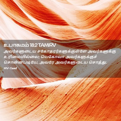 Picture 02 - உபாகமம் 18:2 TAMIRV - அவர்களுடைய - Bible Verse Picture