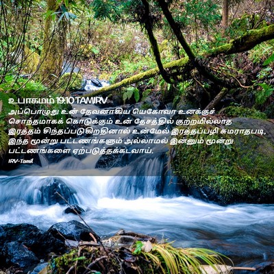 Picture 02 - உபாகமம் 19:10 TAMIRV - அப்பொழுது உன் - Bible Verse Picture
