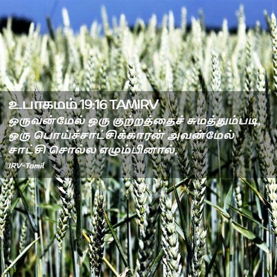 Picture 02 - உபாகமம் 19:16 TAMIRV - ஒருவன்மேல் ஒரு - Bible Verse Picture
