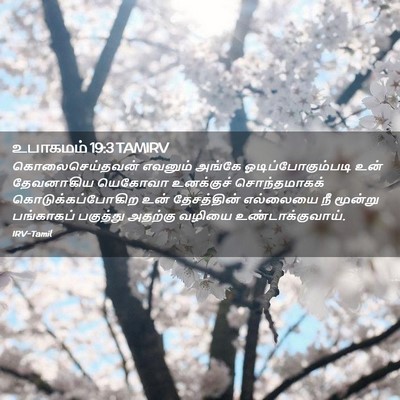 Picture 02 - உபாகமம் 19:3 TAMIRV - கொலைசெய்தவன் - Bible Verse Picture
