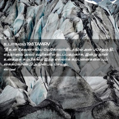 Picture 02 - உபாகமம் 19:8 TAMIRV - “நீ உன் தேவனாகிய - Bible Verse Picture