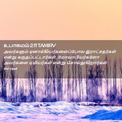 Picture 02 - உபாகமம் 2:11 TAMIRV - அவர்களும் - Bible Verse Picture