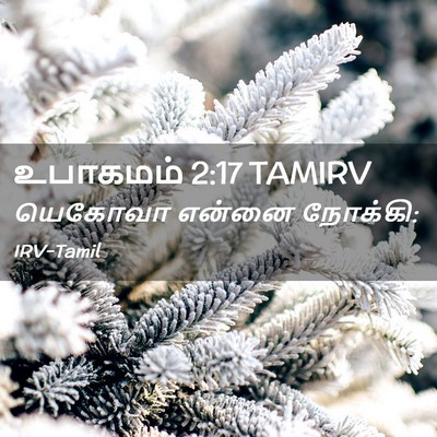Picture 02 - உபாகமம் 2:17 TAMIRV - யெகோவா என்னை - Bible Verse Picture