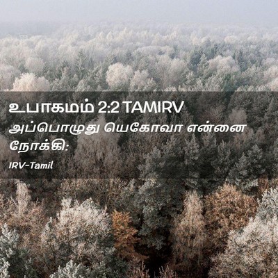 Picture 02 - உபாகமம் 2:2 TAMIRV - அப்பொழுது யெகோவா - Bible Verse Picture
