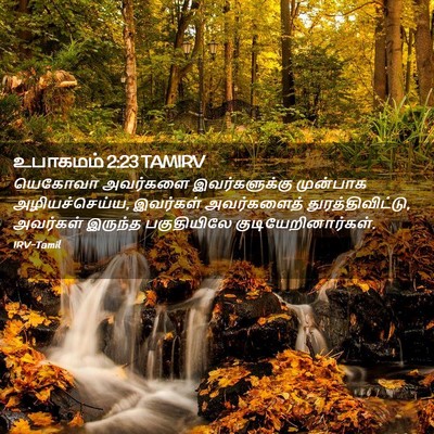 Picture 02 - உபாகமம் 2:23 TAMIRV - யெகோவா அவர்களை - Bible Verse Picture