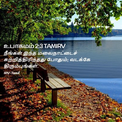 Picture 02 - உபாகமம் 2:3 TAMIRV - நீங்கள் இந்த - Bible Verse Picture