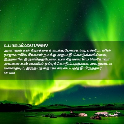 Picture 02 - உபாகமம் 2:30 TAMIRV - ஆனாலும் தன் - Bible Verse Picture