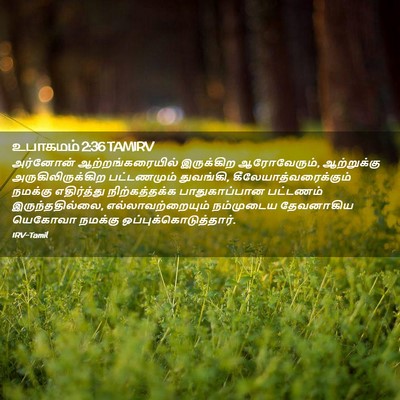 Picture 02 - உபாகமம் 2:36 TAMIRV - அர்னோன் - Bible Verse Picture