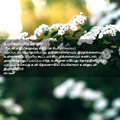 Picture 02 - உபாகமம் 20:1 TAMIRV - “நீ உன் - Bible Verse Picture