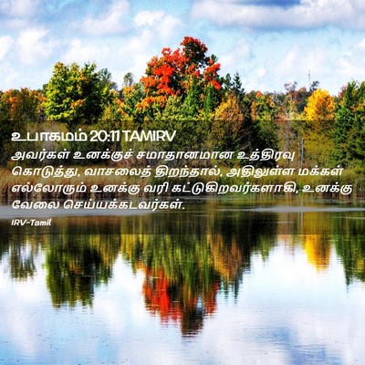 Picture 02 - உபாகமம் 20:11 TAMIRV - அவர்கள் உனக்குச் - Bible Verse Picture
