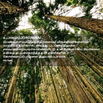 Picture 02 - உபாகமம் 20:14 TAMIRV - பெண்களையும், - Bible Verse Picture