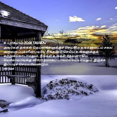Picture 02 - உபாகமம் 20:18 TAMIRV - அவர்கள் தங்கள் - Bible Verse Picture