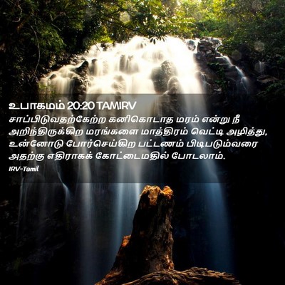 Picture 02 - உபாகமம் 20:20 TAMIRV -  - Bible Verse Picture