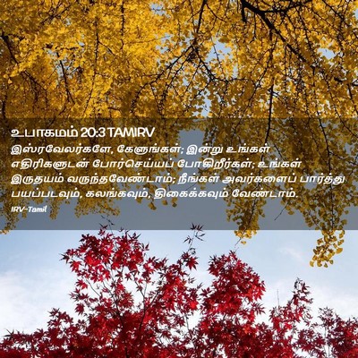 Picture 02 - உபாகமம் 20:3 TAMIRV - இஸ்ரவேலர்களே, - Bible Verse Picture