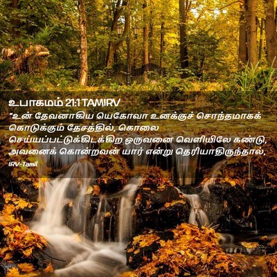 Picture 02 - உபாகமம் 21:1 TAMIRV - “உன் தேவனாகிய - Bible Verse Picture