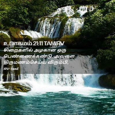 Picture 02 - உபாகமம் 21:11 TAMIRV - சிறைகளில் அழகான - Bible Verse Picture